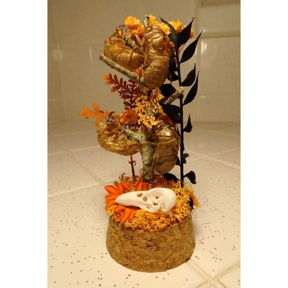 Cicada Skins Autumn Flowers Nature Art Oddity Jar mini Raven Skull goth witchy - Picture 11 of 16